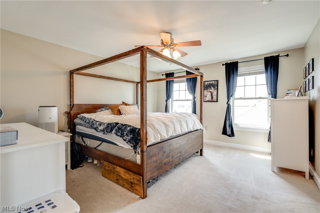 New Haven Neighborhood Ph 1 - Residential