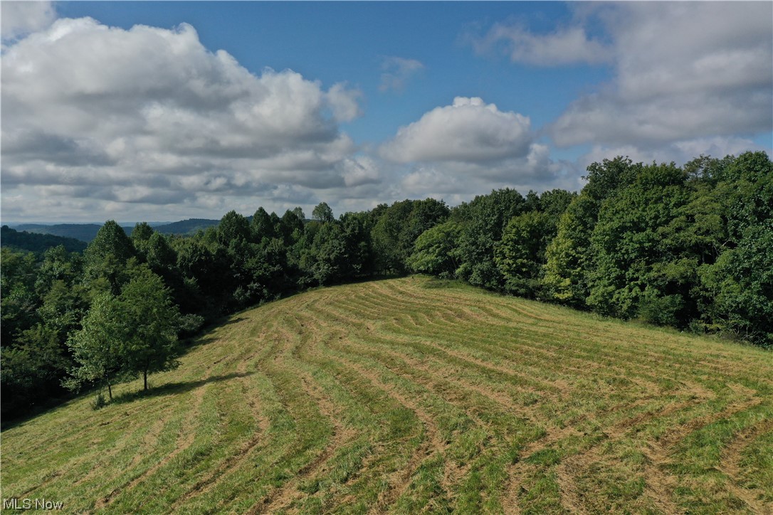 Embrace the quintessential West Virginian lifestyle on this sprawling 102.59-acre property, a haven ripe with potential. An old home, now a rustic hunting camp with a cistern, anchors the land, alongside a substantial 23x38-foot equipment building and a 36x46 barn with a loft. The landscape unfolds into picturesque rolling fields, framed by majestic mountains, unveiling perfect home sites with sweeping, endless views. Electricity is in place, catering to those envisioning a traditional home. Alternatively, for the self-sufficient looking for off-grid land, this property presents the opportunity to go fully off-grid, harnessing solar power and rainwater harvesting. A network of trails meanders throughout, inviting outdoor enthusiasts for ATV adventures or leisurely strolls. For hunters, this property is a paradise, with a history of deer and bear feeding by previous caretakers, fostering a rich wildlife presence. Fertile fields are tailor-made for homesteading dreams, supporting hay production, farming, and livestock. There are no restrictions, allowing you to embrace the full spectrum of rural living. Cattle, horses, and other farm animals can thrive here, enhancing the land's versatility. Nestled atop a ridge, the property bestows views that words cannot capture; it's a sight that must be experienced firsthand.