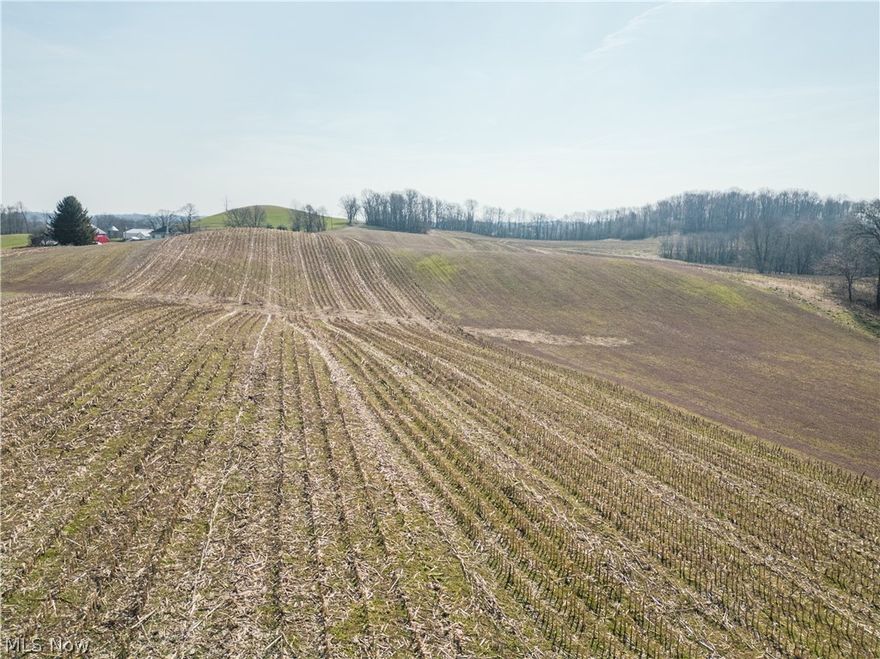 Parcel 7 - Parcel 7 features an attractive open setting with an impressive 878 feet of road frontage. The long stretch of frontage provides flexible access points and multiple potential building locations, making it a versatile tract for residential or small farm use.