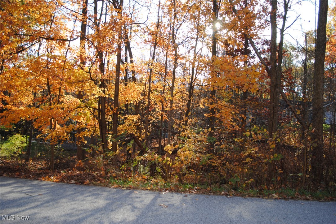 Mill Hollow Lane, Strongsville, Ohio image 3