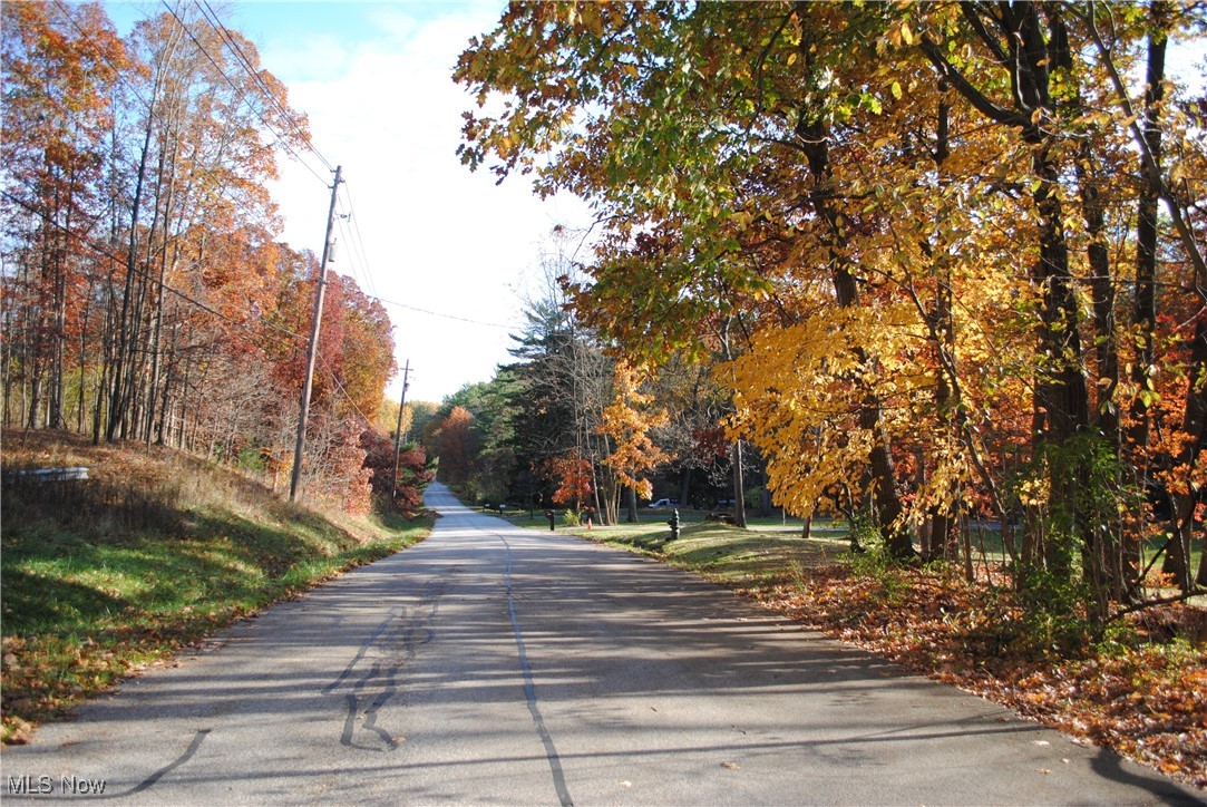 Mill Hollow Lane, Strongsville, Ohio image 4