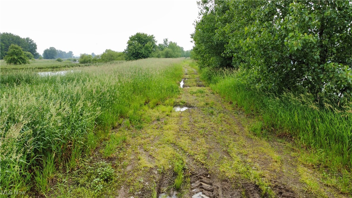 Wilderness Road, Shreve, Ohio image 17