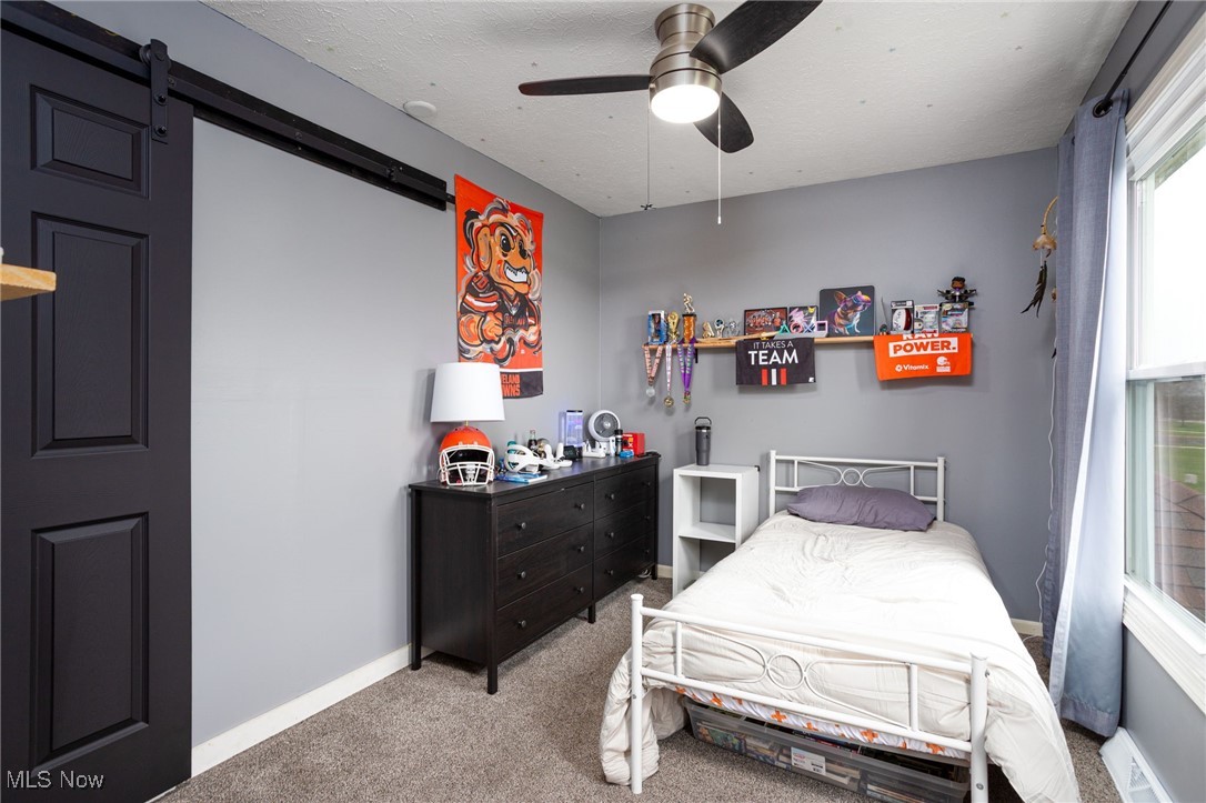 3770 Station Road, Medina, Ohio image 16