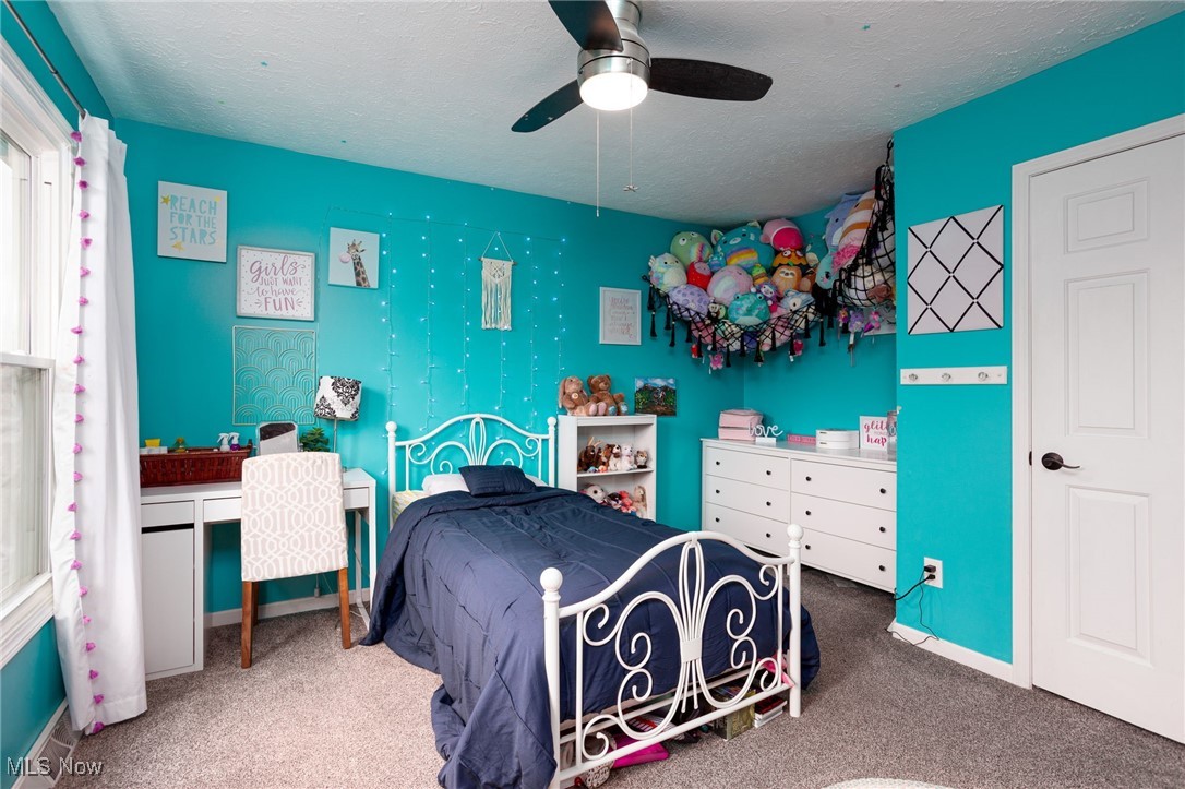 3770 Station Road, Medina, Ohio image 15