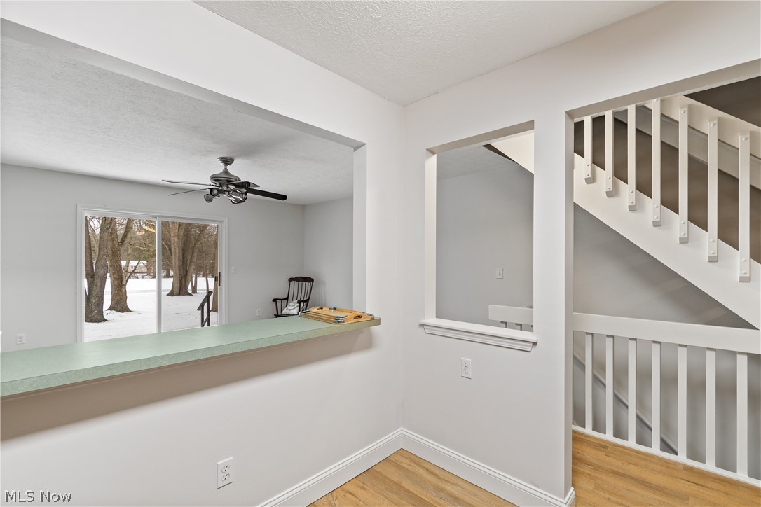 Meadows/Copley Allotment - Residential