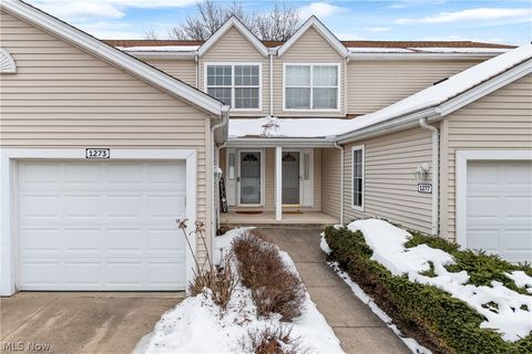 1273 Meadow Run Copley OH 44321