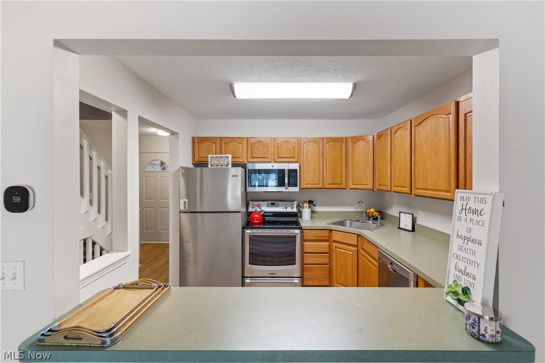 Meadows/Copley Allotment - Residential