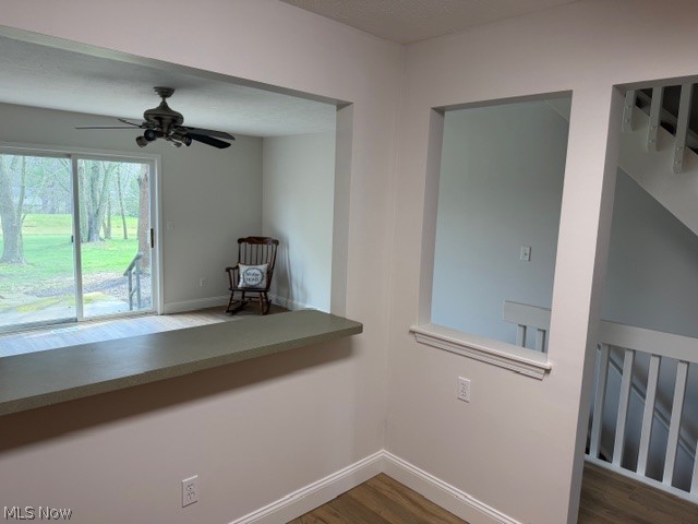 Meadows/Copley Allotment - Residential