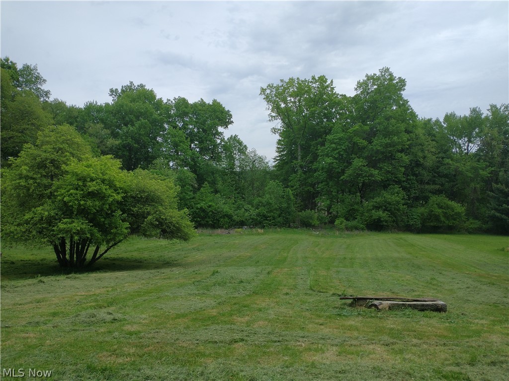 1.28 Acres in Tallmadge! at 90'X619' this lot of record is ready for your new build! Mostly Cleared with a large Wooded area in the back of the lot. Water, Sewer, Gas, and Electric are available at the street. Complete City Utilities with a country feel! This Lot slopes away from the road which provides the ability for a walk-out basement. Behind this lot lies large cornfields which provide privacy. Some neighbors have chickens, horses etc. or maybe you just want a big yard for the pup! GPS 340 N Thomas Rd and this is the lot just south of that house. Agent Owned. Buyer is responsible for verifying intended use. All information deemed reliable but not guaranteed.