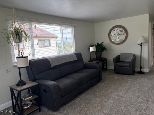 Buena Visa Heights - Residential