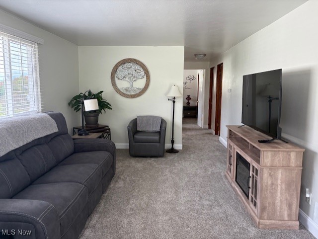 Buena Visa Heights - Residential