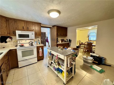 Tiny photo for 365 Lyons Avenue, East Palestine, OH 44413 (MLS # 5146081)