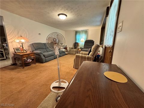 Tiny photo for 365 Lyons Avenue, East Palestine, OH 44413 (MLS # 5146081)