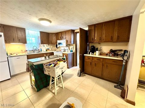 Tiny photo for 365 Lyons Avenue, East Palestine, OH 44413 (MLS # 5146081)