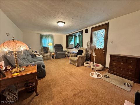 Tiny photo for 365 Lyons Avenue, East Palestine, OH 44413 (MLS # 5146081)