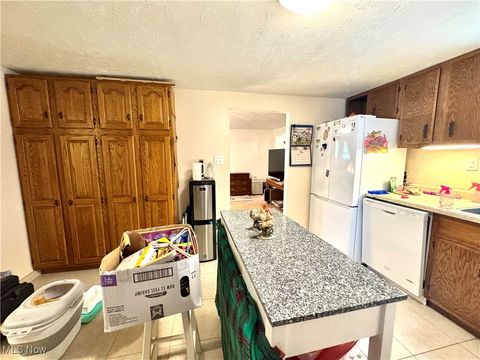 Tiny photo for 365 Lyons Avenue, East Palestine, OH 44413 (MLS # 5146081)