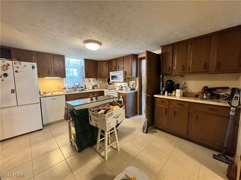 Tiny photo for 365 Lyons Avenue, East Palestine, OH 44413 (MLS # 5146081)