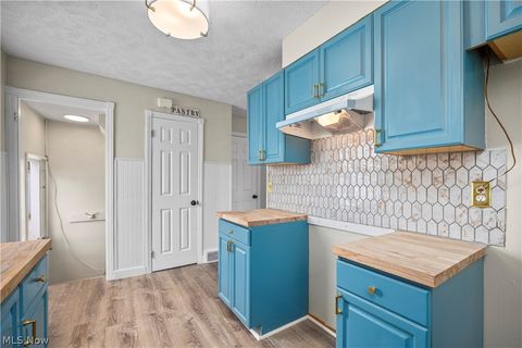 Tiny photo for 624 Eastern Heights Boulevard, Elyria, OH 44035 (MLS # 5202618)