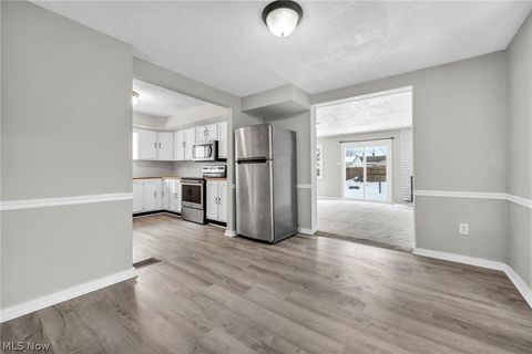 Tiny photo for 1084 Shannon Avenue, Barberton, OH 44203 (MLS # 5187473)