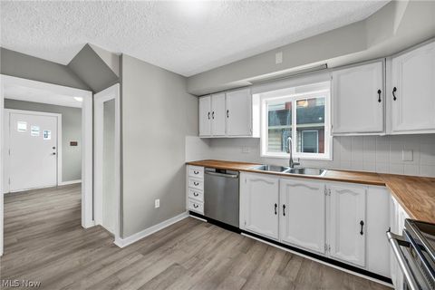 Tiny photo for 1084 Shannon Avenue, Barberton, OH 44203 (MLS # 5187473)