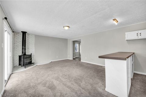 Tiny photo for 1084 Shannon Avenue, Barberton, OH 44203 (MLS # 5187473)