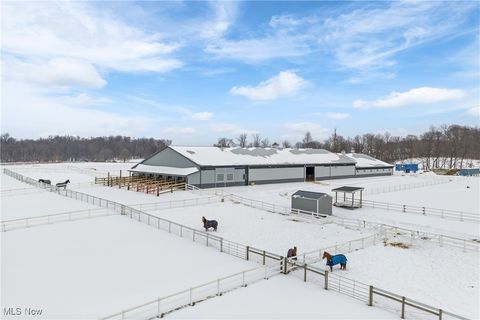 Tiny photo for 10366 Immel Street NE, Canton, OH 44721 (MLS # 5185342)