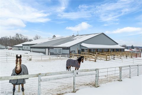 Tiny photo for 10366 Immel Street NE, Canton, OH 44721 (MLS # 5185342)