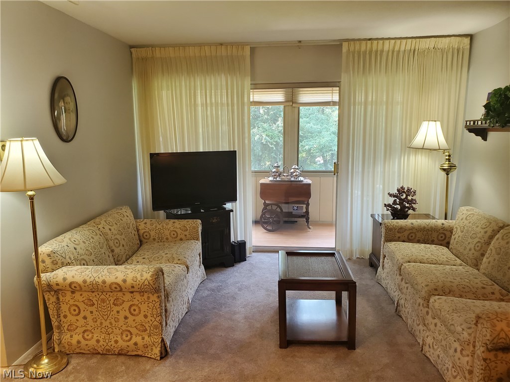 Silver Lake Towers Condo - Residential