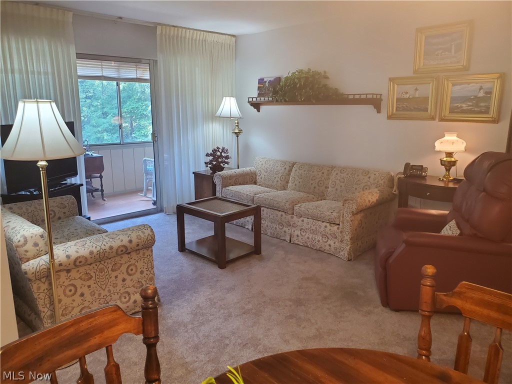 Silver Lake Towers Condo - Residential