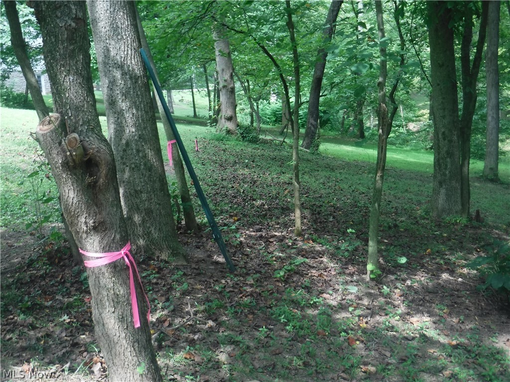 Mitchell Hill - Land