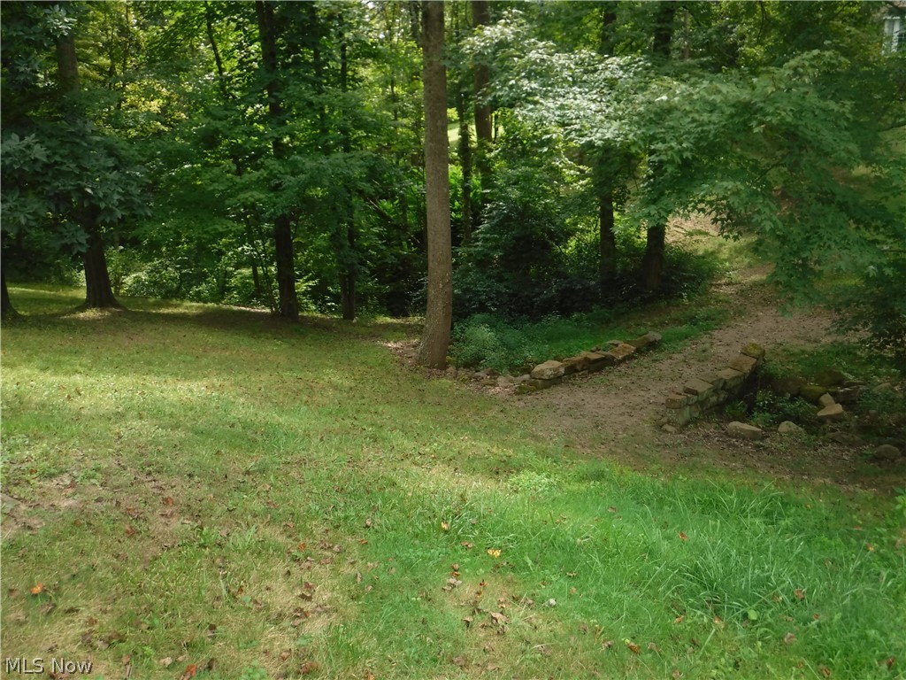 Mitchell Hill - Land