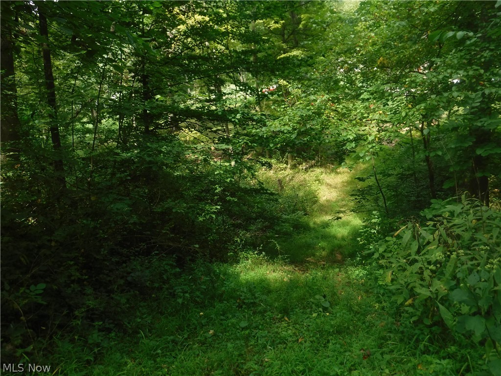 Mitchell Hill - Land