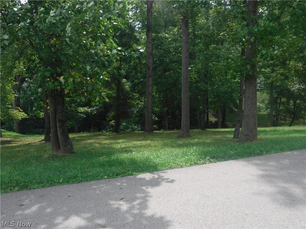 Mitchell Hill - Land