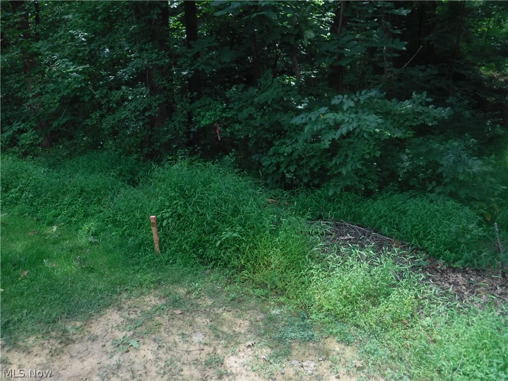 Mitchell Hill - Land