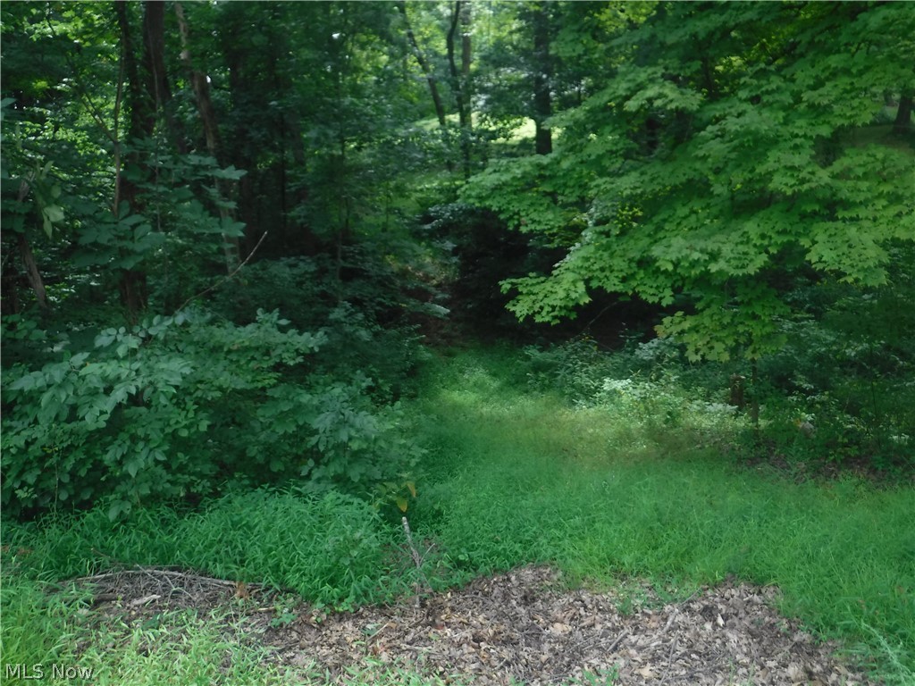 Mitchell Hill - Land