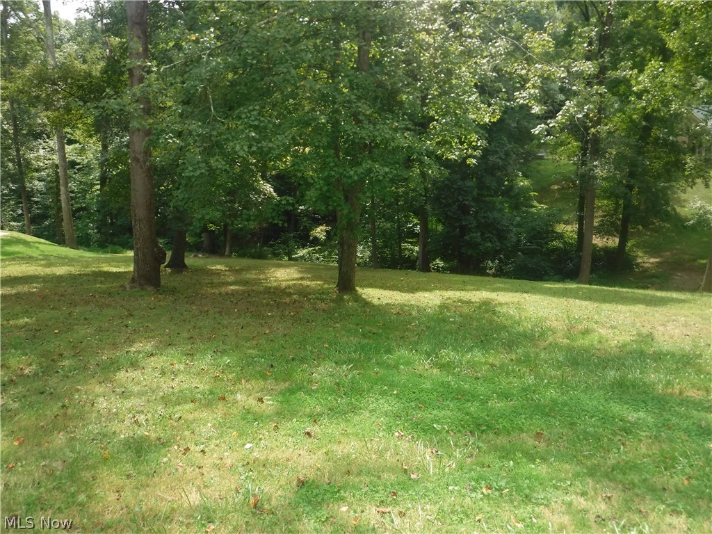 Mitchell Hill - Land