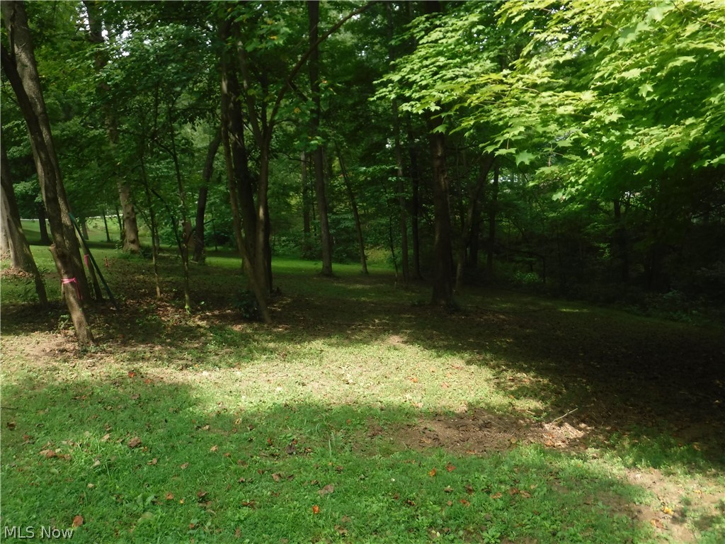 Mitchell Hill - Land