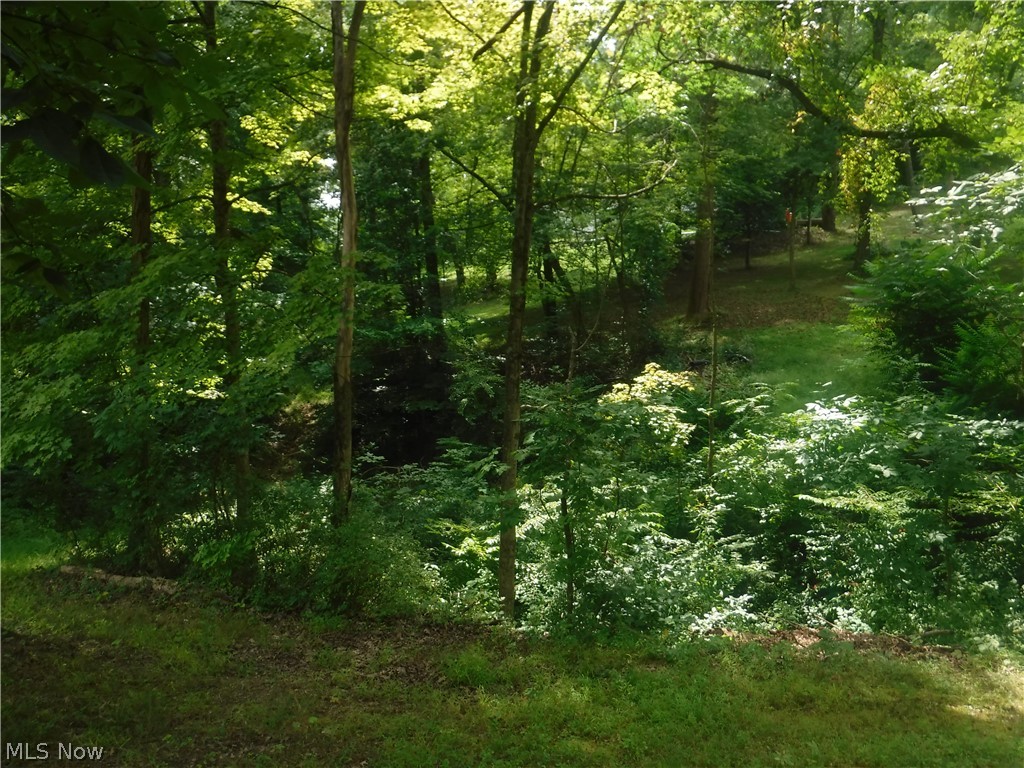 Mitchell Hill - Land