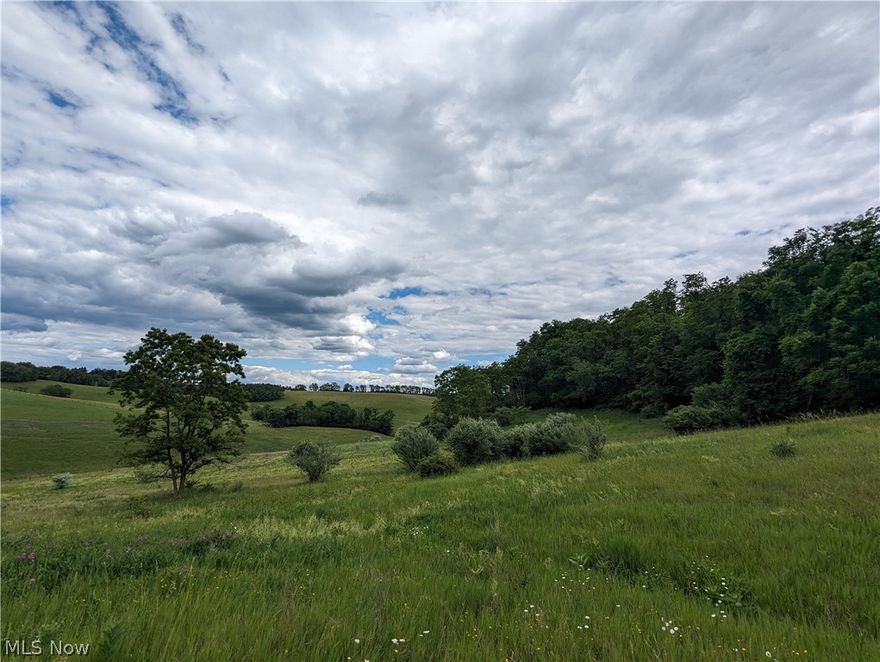 Located on the outskirts of Smithfield, this mid-sized tract is perfect for all-around recreational activities. Some existing ATV trails allow you to explore the property with ease while areas of thick bedding cover and open hardwoods offer varied habitat types that deer, turkey and small game love. At the back of the property, you will find a hidden field that is almost four acres and is the perfect place to establish a food plot program with real drawing power. This affordable tract offers a little something for everyone and won’t last long. Contact me today to learn more about this great property and to set up a time to see it for yourself!

Great all-around recreational property with something for everyone
Areas of thick bedding cover
Brushy creek bottom
Open hardwood timber
Tons of deer sign
Some ATV trails
Hidden old field perfect for food plots
Easy access from multiple state routes
Surface rights only
22 miles from Wheeling, WV
53 miles from Pittsburgh, PA
74 miles from Akron/Canton