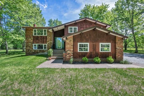 Homes For Sale - 6407 Indian Point Road<br/> Painesville, OH 44077
