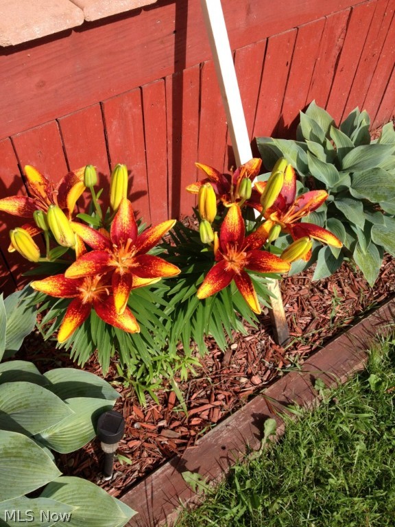 Mineral Land - Residential