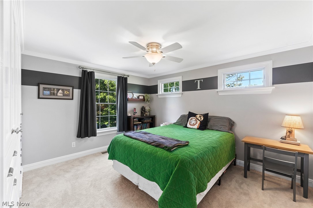 Plymouth Village - Residential