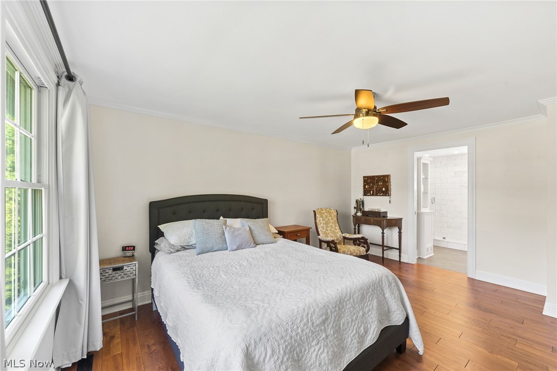 Plymouth Village - Residential