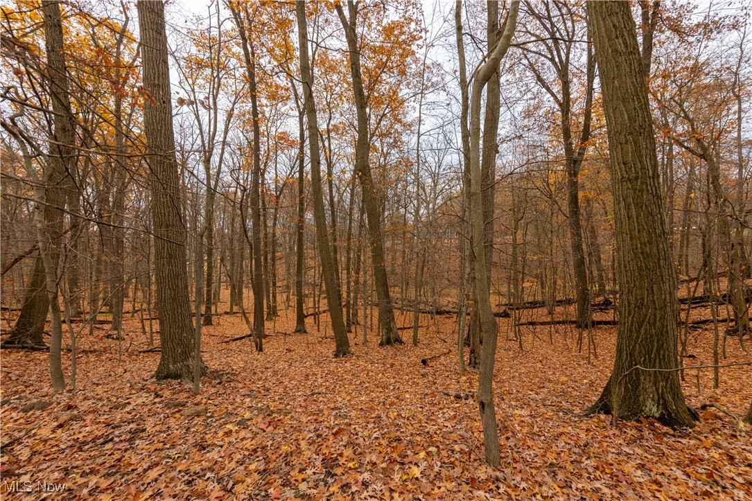 Carriage Hill - Residential