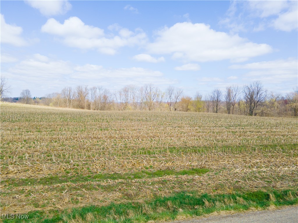 Norfield Road, New Concord, Ohio image 2
