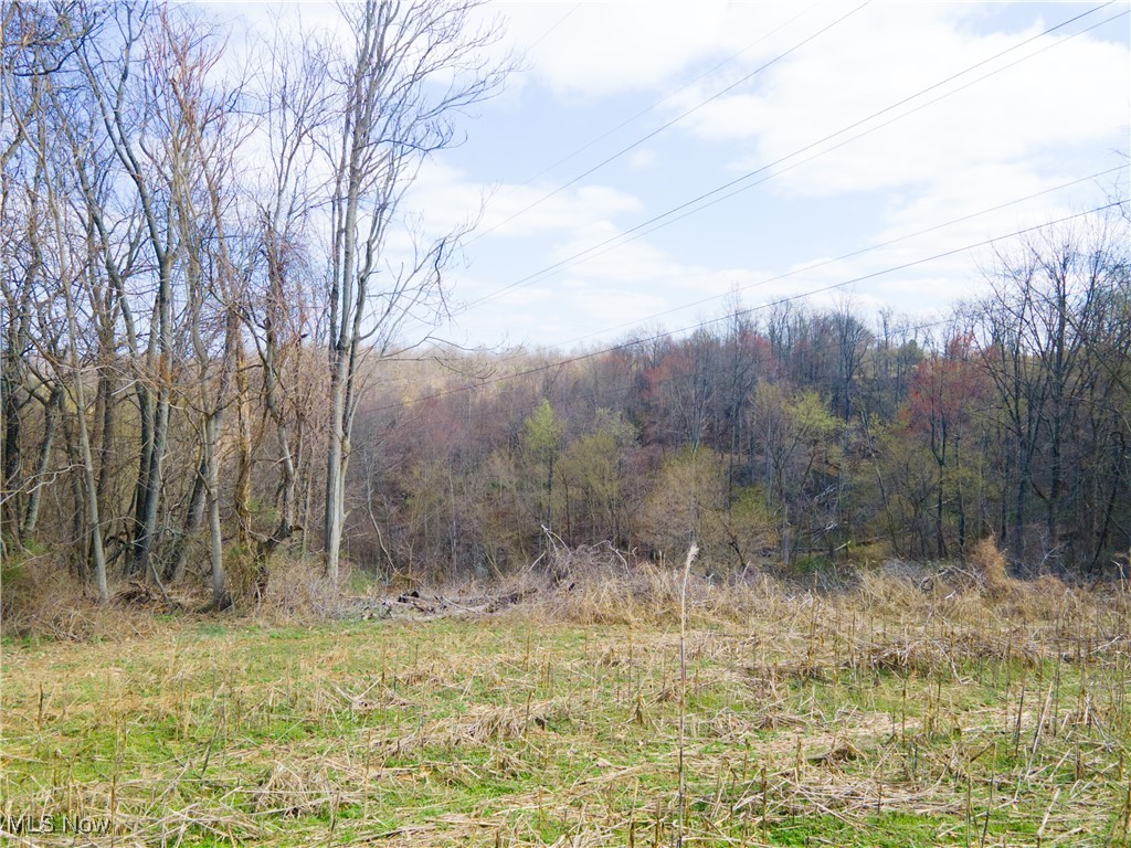 Norfield Road, New Concord, Ohio image 13
