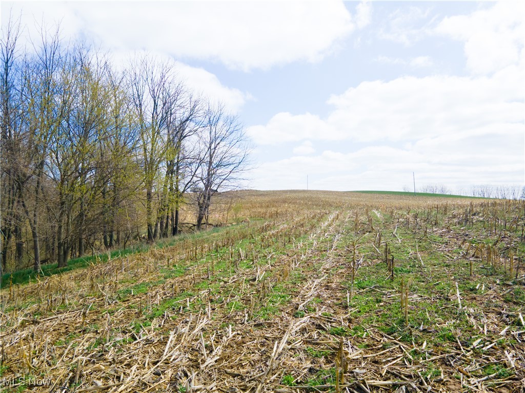 Norfield Road, New Concord, Ohio image 16