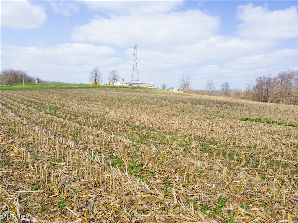 Norfield Road, New Concord, Ohio image 6