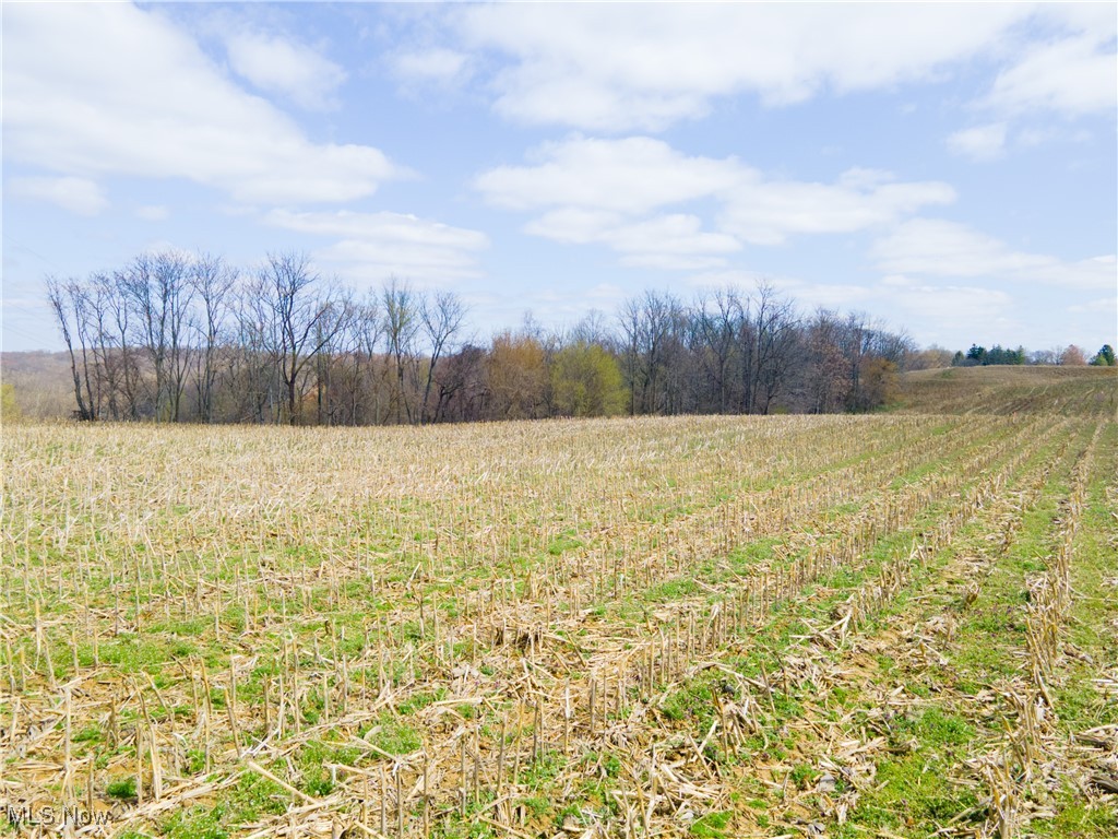 Norfield Road, New Concord, Ohio image 10