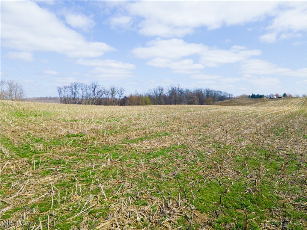 Norfield Road, New Concord, Ohio image 8